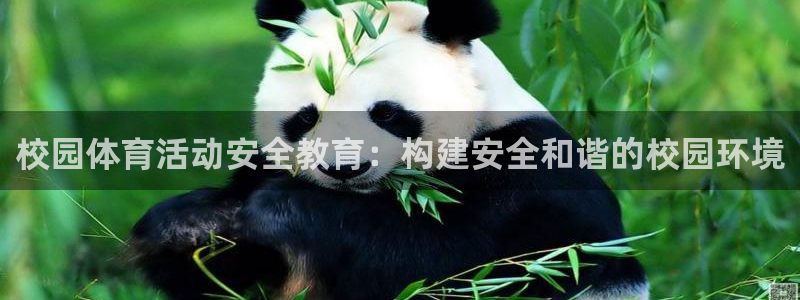 九球体育app官方网站：校园体育活动安全教育：构建安全和谐的校园环境