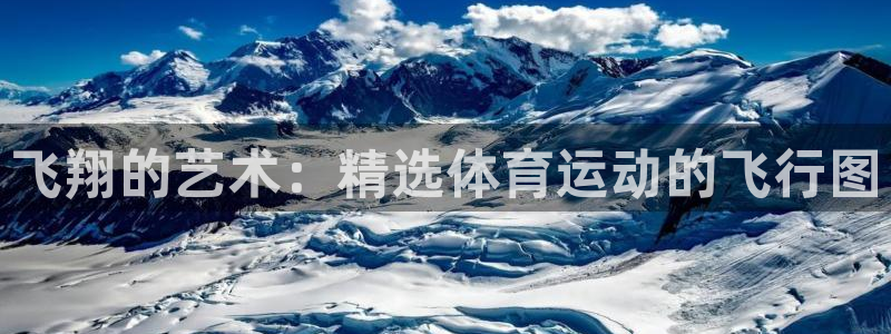 九球体育赛事直播：飞翔的艺术：精选体育运动的飞行图