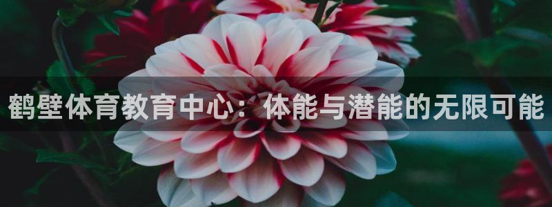 九球体育免费观看：鹤壁体育教育中心：体能与潜能的无限可能