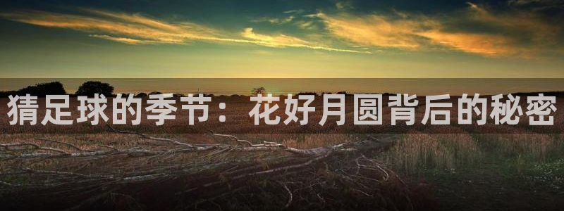 九球体育竞彩足球赛事：猜足球的季节：花好月圆背后的秘密